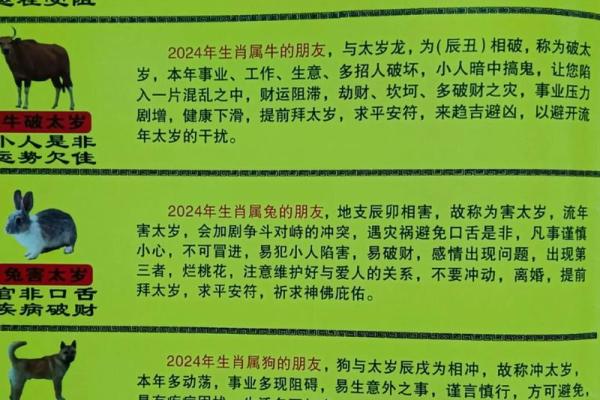 2024冲太岁什么生肖 2024犯太岁生肖化解方法