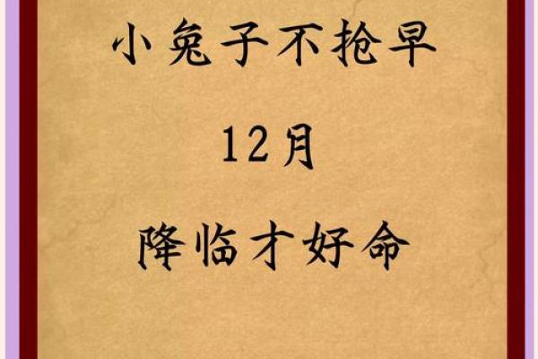 属兔今年几岁了 属兔今年虚岁和周岁