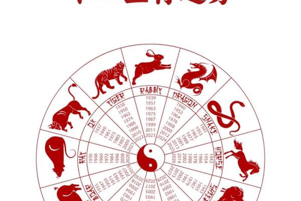 2024属什么生肖 2024年出生宝宝属相查询