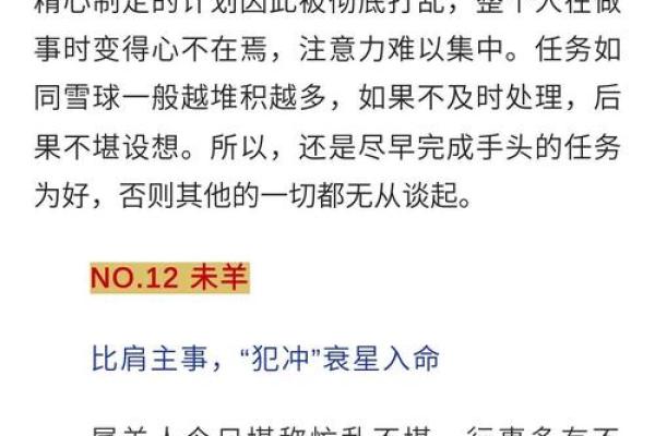 属鼠人的婚姻与命运 属鼠人2024年感情运势