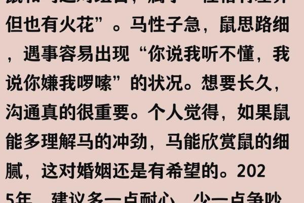 属鼠人的婚姻与命运 属鼠人2024年感情运势