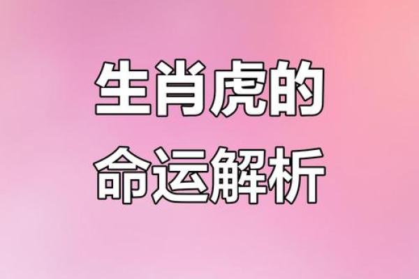 2013年属虎人的运程 属虎2013年每月运程如何