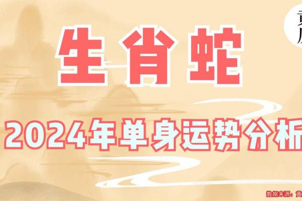 属蛇人2024年运势完整版 2024年属蛇人全年每月运势