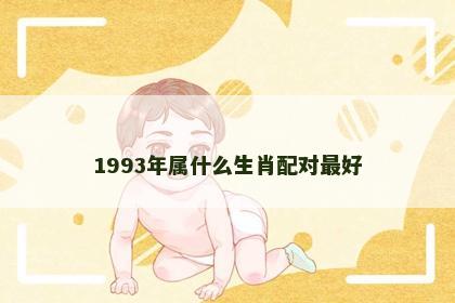 1993年属什么生肖配对最好