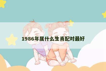 1986年属什么生肖配对最好