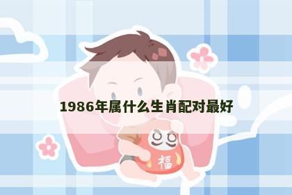 1986年属什么生肖配对最好