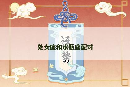 处女座和水瓶座配对