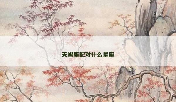 天蝎座配对什么星座